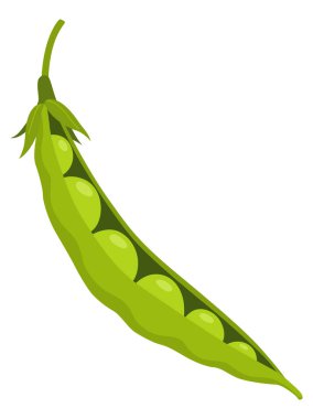 Yeşil bezelye kabuğu. Sebze ikonu. Paketleme ve menü tasarımı için element. Doğal yeşil sağlıklı ekolojik ürün. Vektör illüstrasyonu.