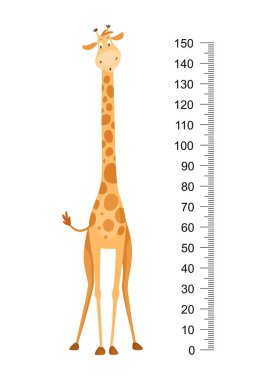Komik zürafa. Uzun boyunlu neşeli komik zürafa. Zürafa metre duvarı, boy çizelgesi ya da duvar çıkartması. Büyümeyi ölçmek için 0 ile 150 santimetre arasında ölçeklendirme.