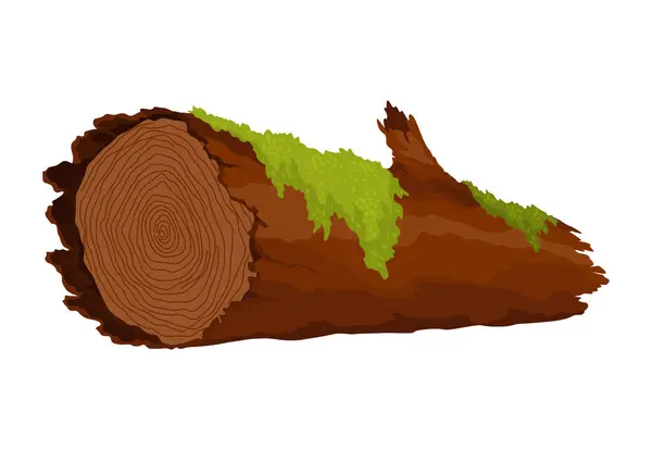 Καταγραφή Κούτσουρο Βρύα Καρτούν Δέντρου Λειχήνες Στη Ζούγκλα Βάλτο Σπασμένη — Διανυσματικό Αρχείο