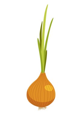 Taco malzemeli karikatür soğanı. Geleneksel Meksika fast-food 'u. Menü ve reklam için Meksika yemek tasarımı öğesi. Vektör çizgi film illüstrasyonu.