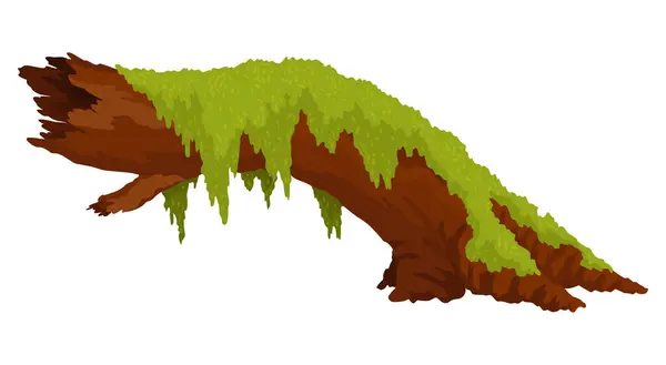 로그인 이끼에 스탬프 정글에서 숲에서 부서진 배경에 디자인 — 스톡 벡터