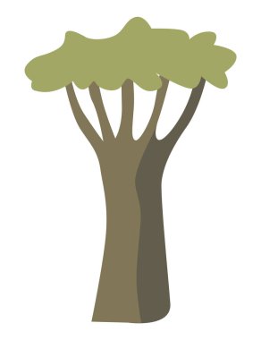 Beyaz arkaplanda izole edilmiş Afrika baobab ağacı simgesi rengi. Güçlü bitkinin vektör çizimi.
