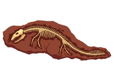 Dinozor fosil iskelet kemikleri, izole arkeoloji kazıları. Yeraltında yatan tarih öncesi sürüngen iskeletleri. Çizgi film paleontolojik tarihi eser.