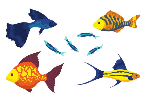 水族館の魚セット 美しい水中キャラクター 平らな漫画の設計の装飾的な着色された淡水魚の品種 ベクトルイラスト 白の孤立した要素 — ストックベクタ