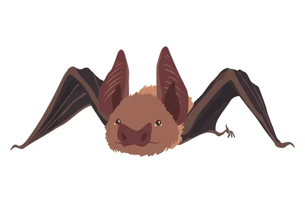 Bat Concept Cartoon Bat Vector Clipart Illustration Isolated White Background — Stock Vector
