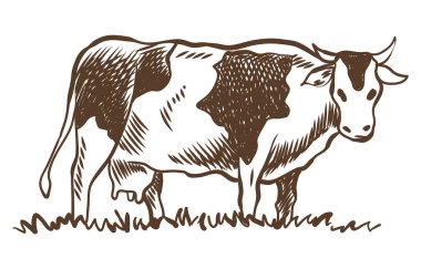 İnekler çayırda çim çiğniyor. Kırsal alan, köy eskizi. Elle çizilmiş tarım arazisi çizimi.