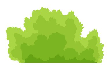 Bush ikonu. Çizgi film ormanı ya da bahçe çiti. Beyaz üzerine izole edilmiş yaz çizgi filmi nesnesi. Peyzaj sahnesi element oluşturur. Vektör çizgi film illüstrasyonu.