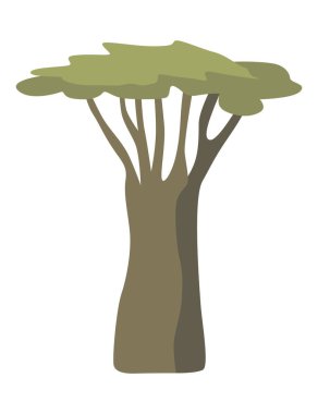 Beyaz arkaplanda izole edilmiş Afrika baobab ağacı simgesi rengi. Güçlü bitkinin vektör çizimi.