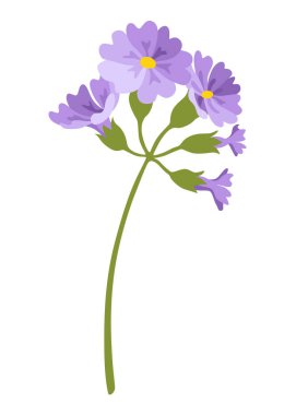 Bahar çiçeği ikonu. Suluboya içindeki çiçek elementi. Tebrik kartı ya da davetiye tasarlamak için sembol. Vektör illüstrasyonu.