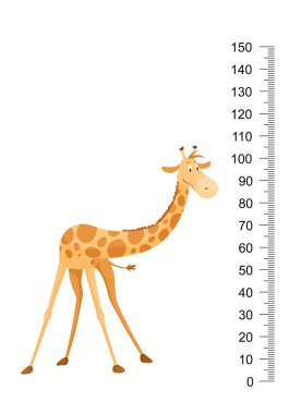 Komik zürafa. Uzun boyunlu neşeli komik zürafa. Zürafa metre duvarı, boy çizelgesi ya da duvar çıkartması. Büyümeyi ölçmek için 0 ile 150 santimetre arasında ölçeklendirme.