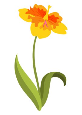 Bahar çiçeği ikonu. Suluboya içindeki çiçek elementi. Tebrik kartı ya da davetiye tasarlamak için sembol. Vektör illüstrasyonu.