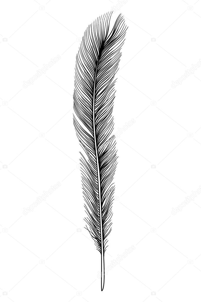 Feathers icon black silhouette hand drawn sketch.