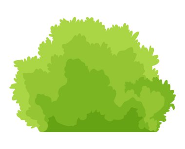 Bush ikonu. Çizgi film ormanı ya da bahçe çiti. Beyaz üzerine izole edilmiş yaz çizgi filmi nesnesi. Peyzaj sahnesi element oluşturur. Vektör çizgi film illüstrasyonu.