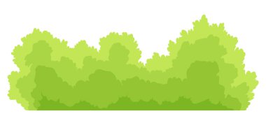 Bush ikonu. Çizgi film ormanı ya da bahçe çiti. Beyaz üzerine izole edilmiş yaz çizgi filmi nesnesi. Peyzaj sahnesi element oluşturur. Vektör çizgi film illüstrasyonu.