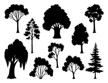 Ağaçlar siyah siluetler, doğal vahşi manzara. Rafine edilmiş dijital illüstrasyon, çarpıcı siyah siluette ağacın özünü yakalıyor. Ormanlıkların taşıyıcı önplanı.