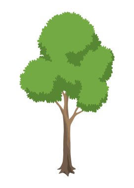 Ağaç. Doğa bitkisinin çevre kavramı. Bahçe botanik elementi. Beyaz arkaplanda izole edilmiş vektör düz yeşil ağaç simgesi.