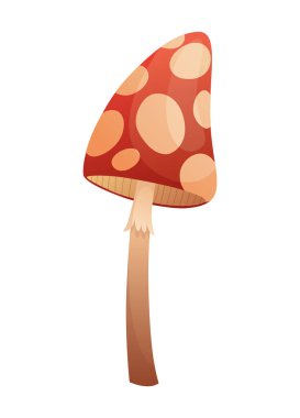 Peri masalı evi. Mantar şeklinde çizgi film evi. Beyaz arkaplanda vektör illüstrasyonu.