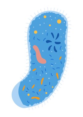 Okulun konu ikonu konseptinin tasarım unsuru. Okuldaki eğitim. Düz vektör çizimi beyaz arkaplanda izole edildi.