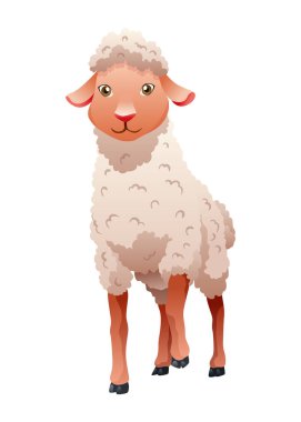 Küçük çizgi film koyunu. Lamb düz vektör çizimi. Kıvırcık yünlü komik koyun yavrusu. Beyaz arka planda izole edilmiş çiftlik hayvanı sanatı.