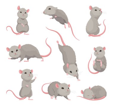 Değişik pozlar ve ifadeler sergileyen büyüleyici ve kaprisli çizgi film tarzı gri fareler.