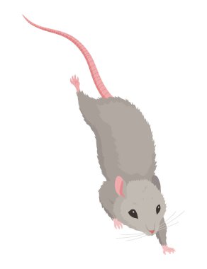 Şirin bir çizgi film faresi sevimli duruşlarını ve ifadelerini sergiliyor..