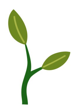 Limon ağacının yaşam döngüsü. Vektör genç ağaç kenarı görünümü manzara ve mimari çizim için beyaz arkaplanda izole edilmiş, çevre ve bahçe için elementler.