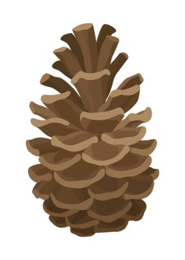 Firavun mu çam kozalağı mı? Doğa süsleme sembolü, orman işareti. Beyaz arka planda izole edilmiş. El yapımı kozalaklı koniyi hazırla. Renkli vektör illüstrasyonu.