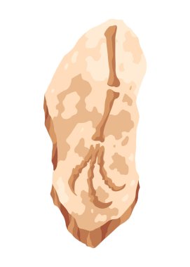 Dinozor fosil iskelet kemikleri, izole arkeoloji kazıları. Yeraltında yatan tarih öncesi sürüngen iskeletleri. Çizgi film paleontolojik tarihi eser.