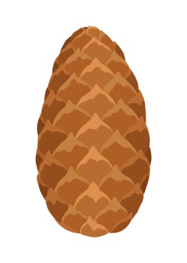 Firavun mu çam kozalağı mı? Doğa süsleme sembolü, orman işareti. Beyaz arka planda izole edilmiş. El yapımı kozalaklı koniyi hazırla. Renkli vektör illüstrasyonu.