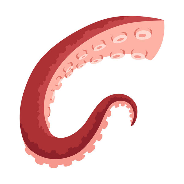 Octopus tentacles or sea squid icon. Spooky marine monster arm on white background. Vector cartoon underwater animal.