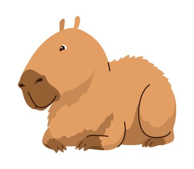 Capybara. Çizgi film sevimli hayvan, vahşi otçul memeli dinleniyor. Komik, sevimli egzotik hayvan rahatlıyor. Çizgi film düz vektör çizimi.