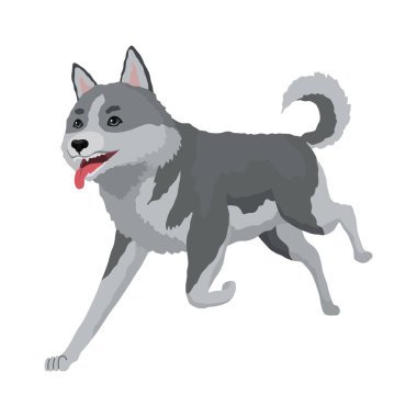 Şirin gri kurt pozu. Tehlikeli memeli hayvanın çizgi film karakteri. Beyaz arkaplanda izole edilmiş vektör düz illüstrasyon.
