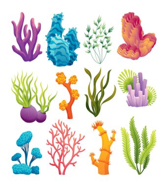 Beyaz arka planda izole edilmiş suluboya yosun ve mercanlar. Su altı yosunları. Akvaryum bitkileri koleksiyonu. Vektör deniz yaşamı. İzole edilmiş mercanlar ve algler. Su altı bitkileri.
