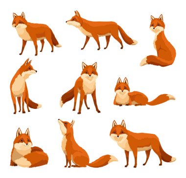 Kızıl tilki seti. Tuhaf bir karakter, orman memelisi avcısı. Çizgi film orman hayvanı, yüzünde sevimli duygular olan memeli. Turuncu tilki, vahşi yaşam hayvanı, beyaz arka planda izole edilmiş..
