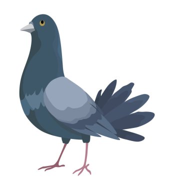 Şehir kuşu, ikon. Avrupalı renkli kuş, kanatlı hayvan karakteri. Kuş, beyaz arka planda izole edilmiş. Vektör illüstrasyonu beyaz arkaplanda izole edildi.