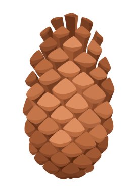 Firavun mu çam kozalağı mı? Doğa süsleme sembolü, orman işareti. Beyaz arka planda izole edilmiş. El yapımı kozalaklı koniyi hazırla. Renkli vektör illüstrasyonu.