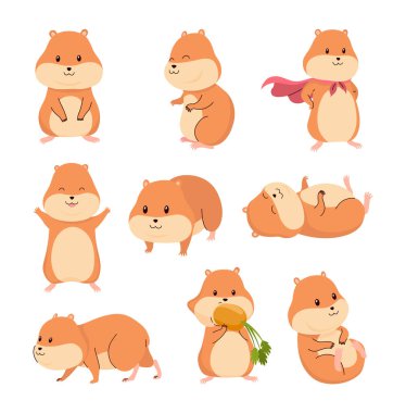Çizgi film hamsterları hazır. Yumuşak evcil hayvanlar oynuyor, yiyor, uyuyor ve koşuyor. Farklı durumlarda komik kemirgenler. Mutlu ev kemirgen hayvanı. Vektör illüstrasyonu beyaz arkaplanda izole edildi.
