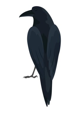 Şehir kuşu, ikon. Avrupalı renkli kuş, kanatlı hayvan karakteri. Kuş, beyaz arka planda izole edilmiş. Vektör illüstrasyonu beyaz arkaplanda izole edildi.