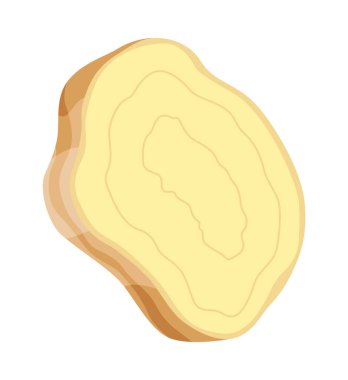 Zencefil kökü. Aromatik bitkisel baharat. Yiyecek malzemesi, doğal bitki, dilimlenmiş. Çizgi filmlerdeki gibi taze ve çiğ sebzeler. Vektör illüstrasyonu beyaz arkaplanda izole edildi.