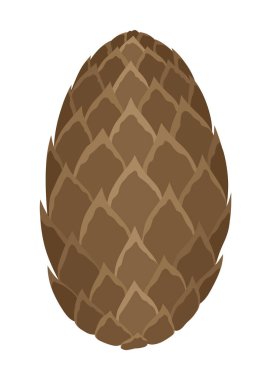 Firavun mu çam kozalağı mı? Doğa süsleme sembolü, orman işareti. Beyaz arka planda izole edilmiş. El yapımı kozalaklı koniyi hazırla. Renkli vektör illüstrasyonu.