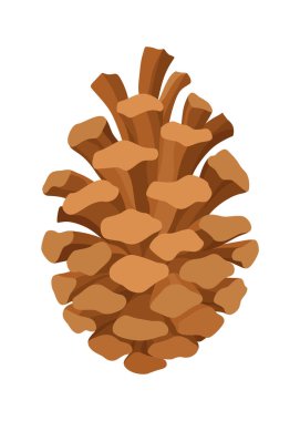 Firavun mu çam kozalağı mı? Doğa süsleme sembolü, orman işareti. Beyaz arka planda izole edilmiş. El yapımı kozalaklı koniyi hazırla. Renkli vektör illüstrasyonu.