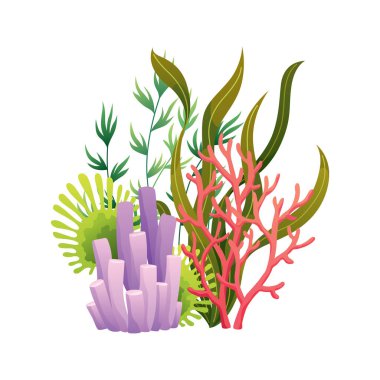 Beyaz arka planda izole edilmiş suluboya yosun ve mercanlar. Su altı yosunları. Akvaryum bitkileri koleksiyonu. Vektör deniz yaşamı. İzole edilmiş mercanlar ve algler. Su altı bitkileri.