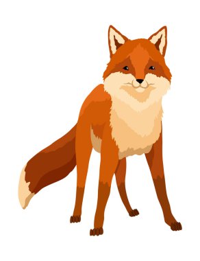 Kızıl Tilki. Tuhaf bir karakter, orman memelisi avcısı. Çizgi film orman hayvanı, yüzünde sevimli duygular olan memeli. Turuncu tilki, vahşi yaşam hayvanı, beyaz arka planda izole edilmiş..