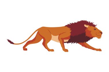 Proud powerful lion character. King of animal. Cartoon cute wild cat is running. Isolated vector Illustrations on a white background.