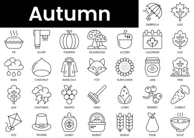 Set of outline autumn icons. Minimalist thin linear web icon set. vector illustration.