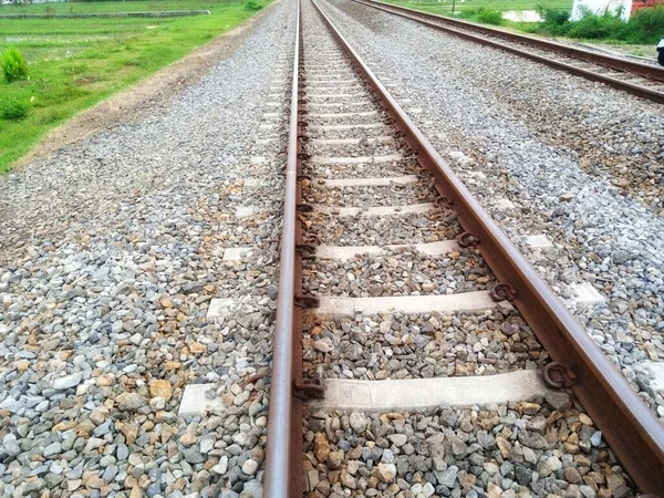 Железнодорожные Пути Лесу — стоковое фото