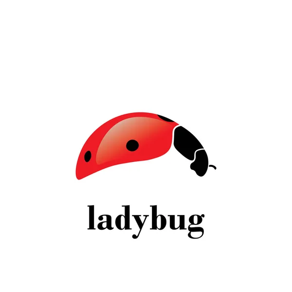 Kırmızı Siyah Renkli Uğurböceği Logosu Tasarımı — Stok Vektör
