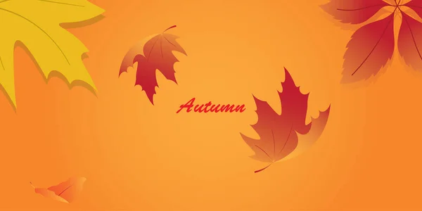 背景设计与秋季主题 — 图库矢量图片