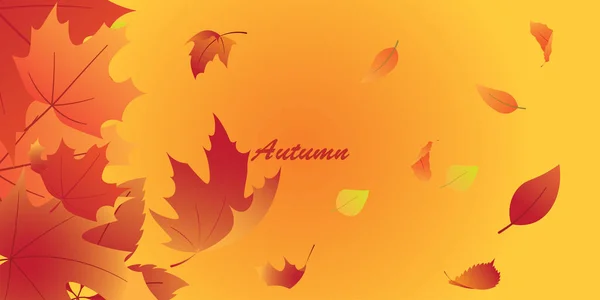 Background Design Autumn Theme — Stock Vector