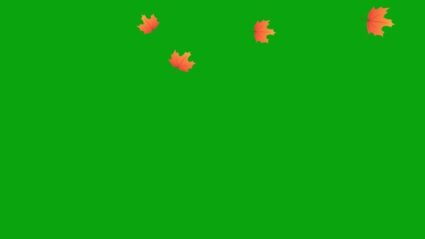 Animované Video Padajícího Listí Zeleném Pozadí Vhodné Pro Podzimní Téma — Stock video